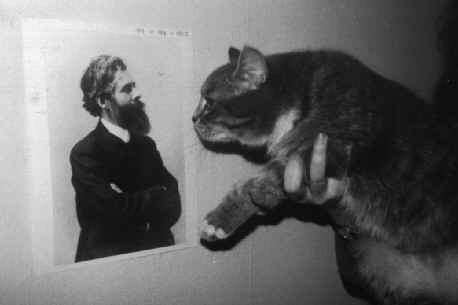 Annals of Improbable Research, Feline reactions to Bearded Men