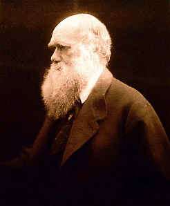 Julia Margaret Cameron photo portrait of Charles Darwin, online at The American Museum of Photography