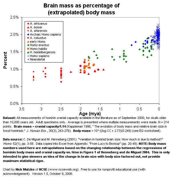 Hominin brain mass as a percentage of body mass