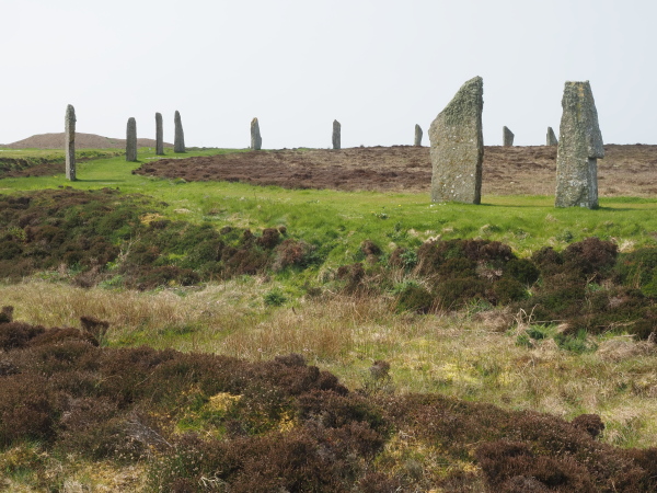 Ring of Brodgar (henge)
