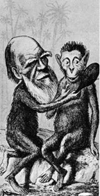 Darwin and monkey mirror cartoon