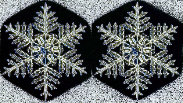 Snowflake pair