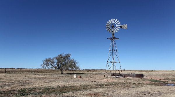Windmill and wind-shaped tree located 5.5 miles (8.8 km) north of the small community of Bellview, Curry County, Eastern New Mexico.