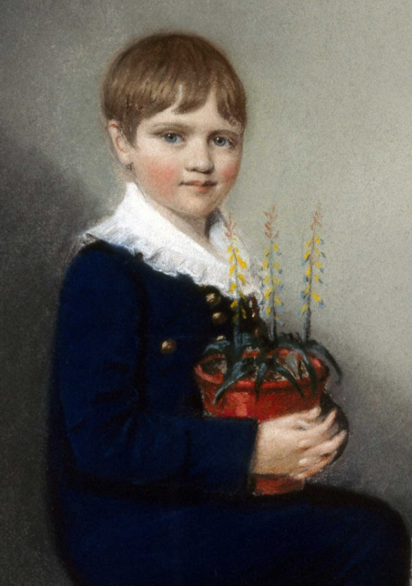 Chalk drawing of Charles Darwin at age 6, by Ellen Sharples.