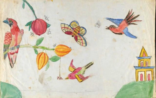 Birds and flowers by one of Darwin's children